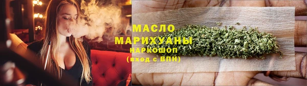 индика Гусев