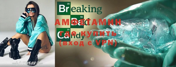индика Гусев