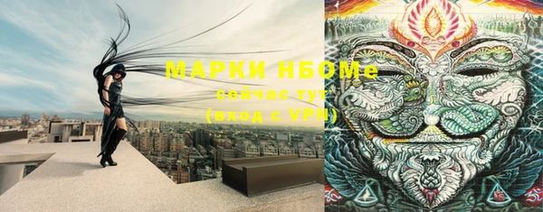 МДПВ Горнозаводск