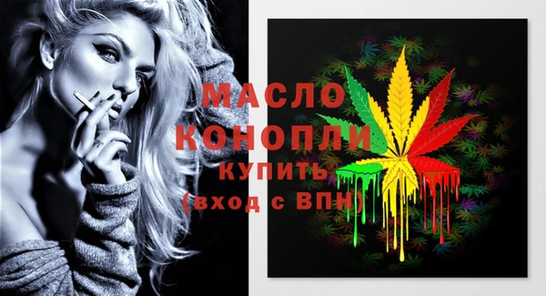 индика Гусев