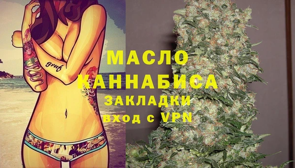 индика Гусев