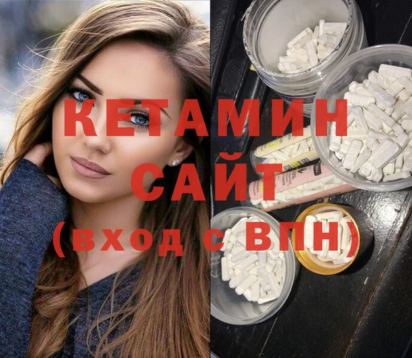 индика Гусев