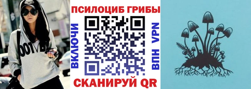 Псилоцибиновые грибы ЛСД  Петровск 